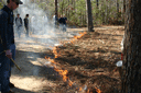 volunteers assist with prescribed burn